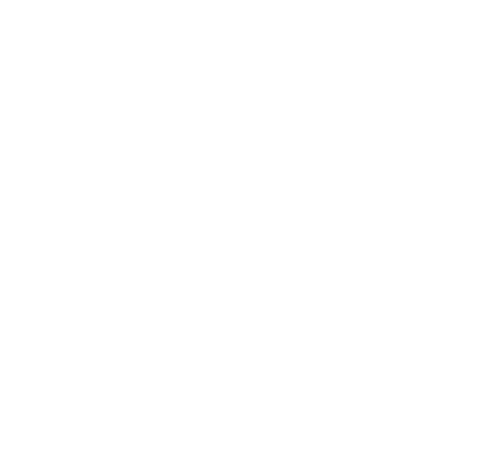 premiacion para empresa del año Logo-PRIMAX